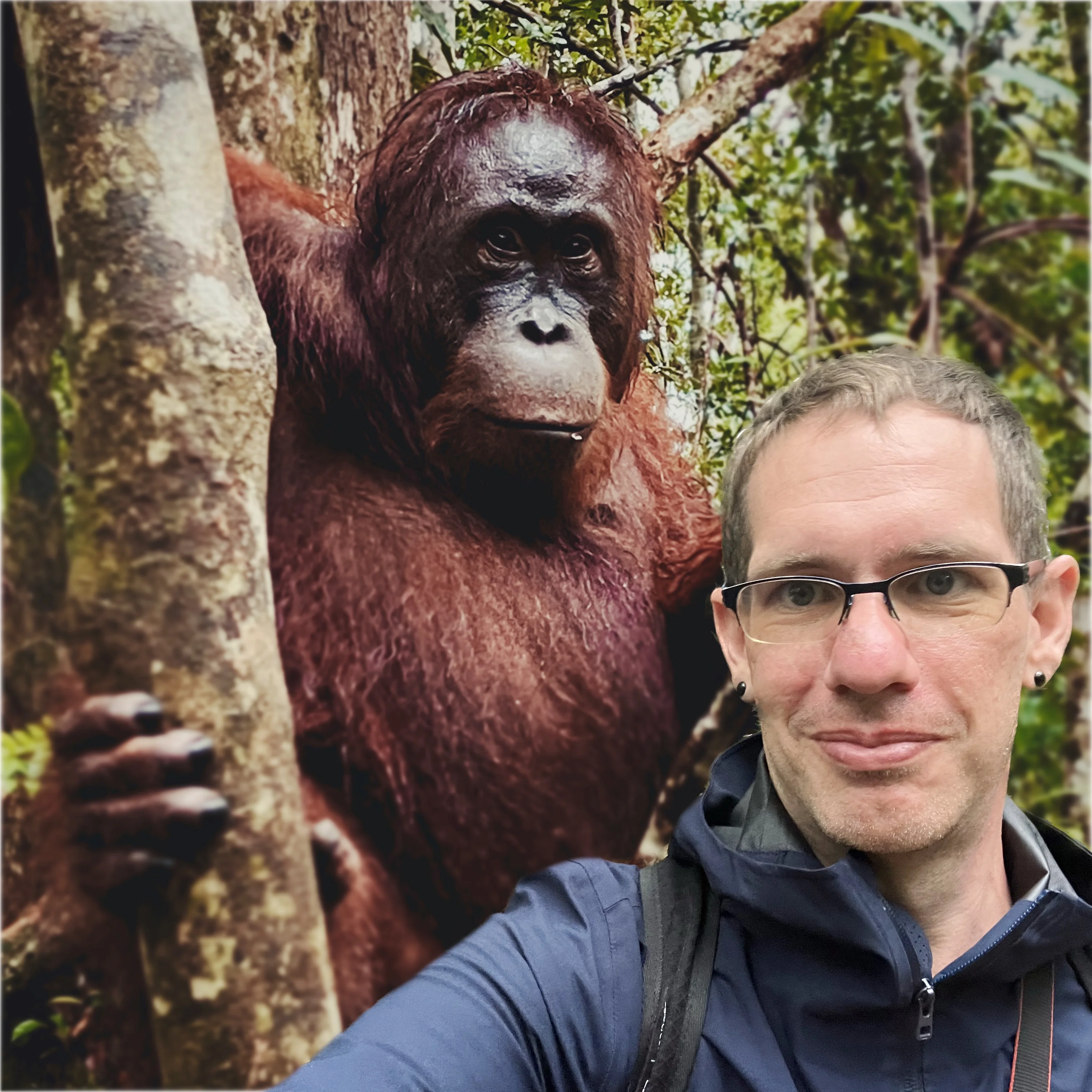 The Experience of a Lifetime: Meeting Orangutan in Kalimantan