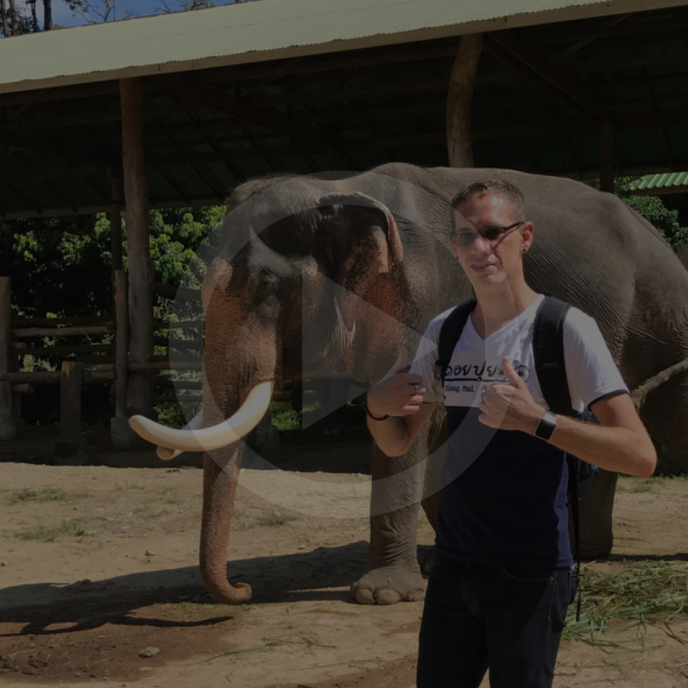 elephant encounters