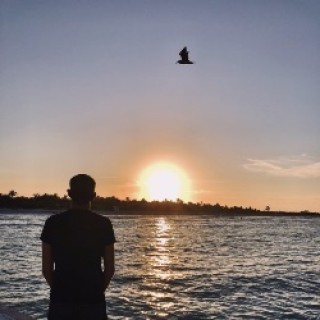 Your Next Getaway: Yucatan's Best Beach Escapes